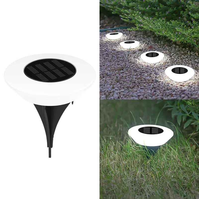 Solar Garden Lights – Charm & Functionality