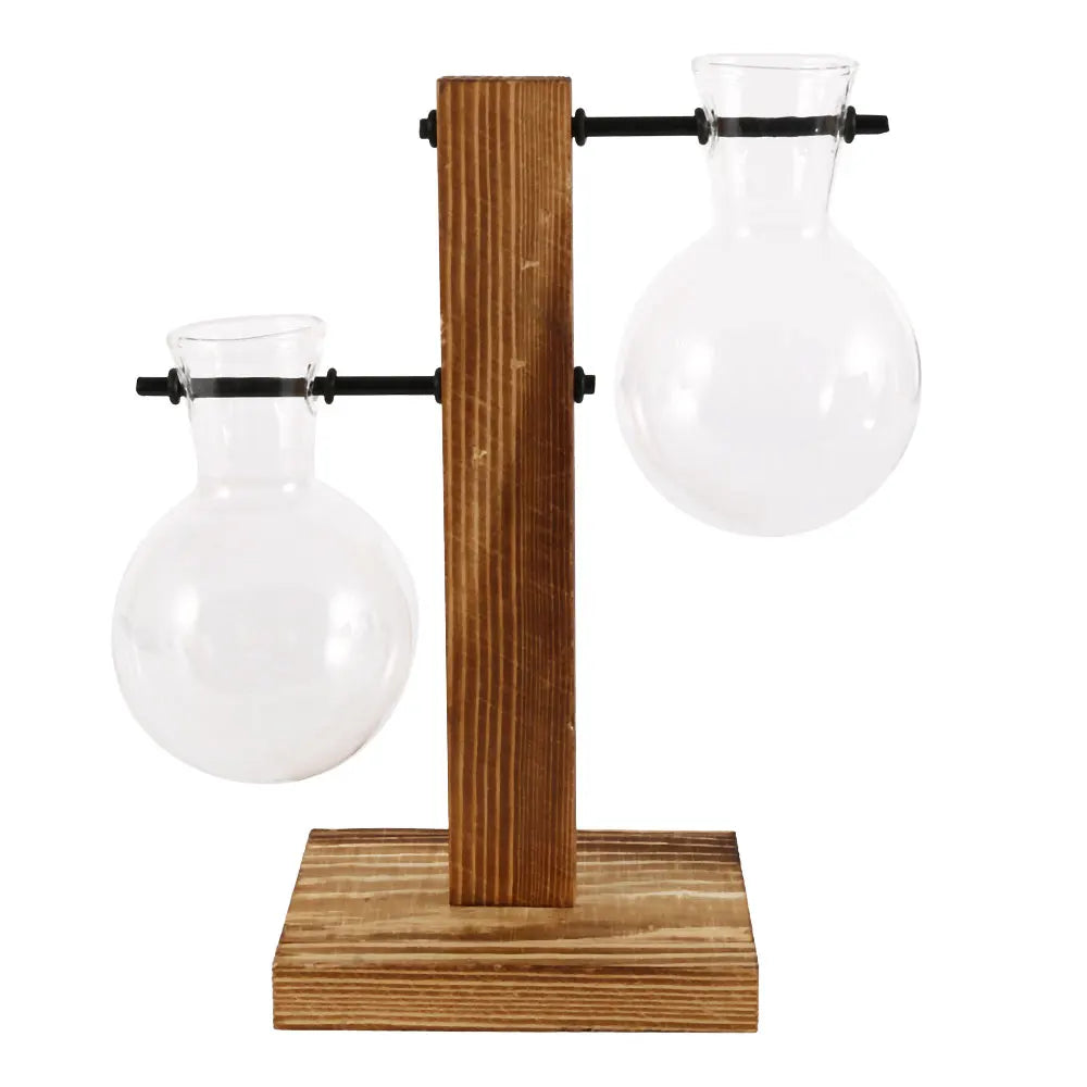 Glass vases for plants - The Touch of Nature Your Home Was Missing