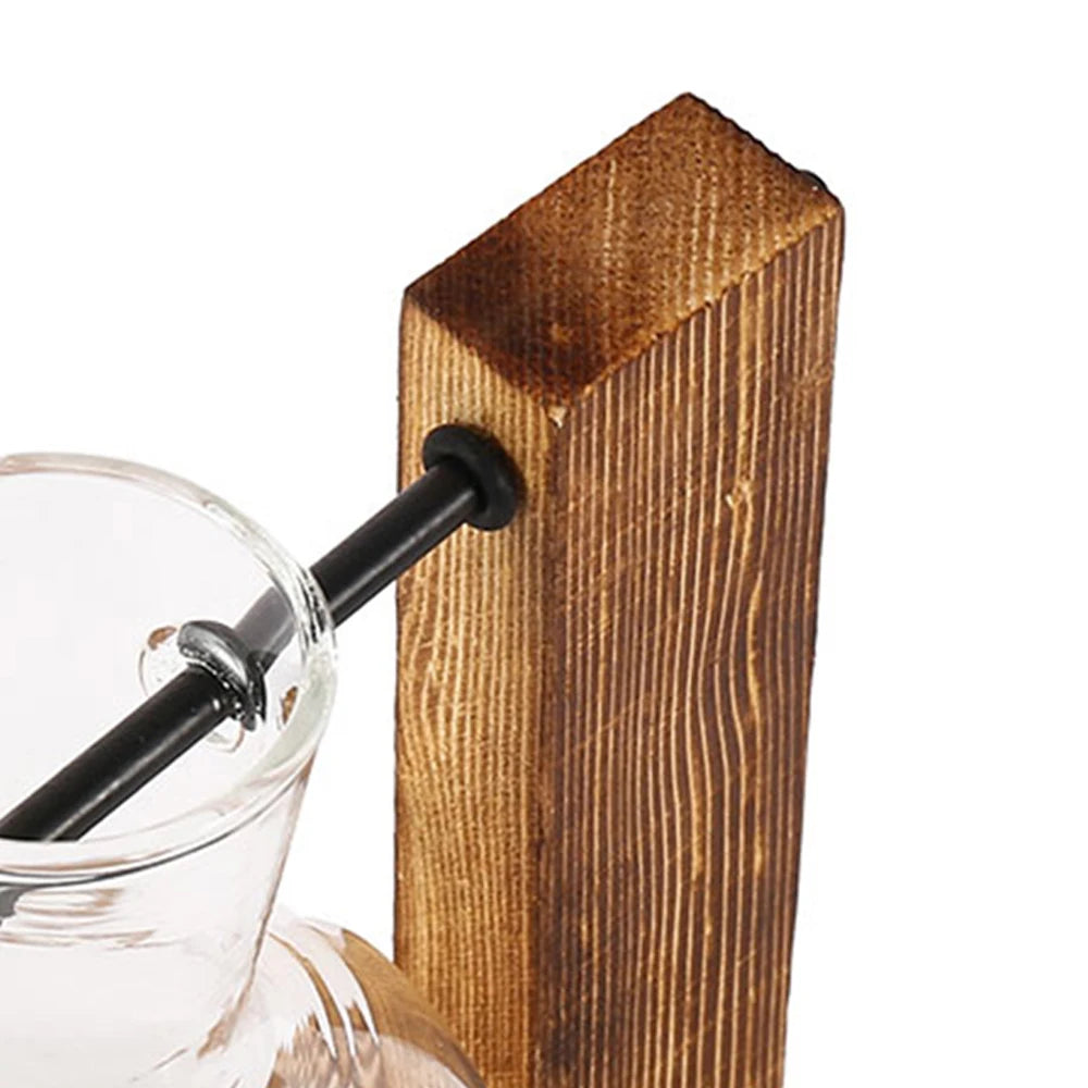 Glass vases for plants - The Touch of Nature Your Home Was Missing