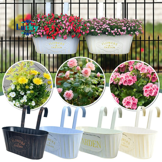 Decorative Hanging Flower Pots – Beauty & Practicality