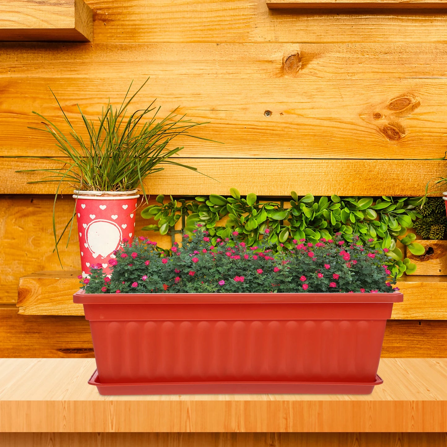 Rectangular Decorative Planter – The Perfect Planter for Herbs, Flowers, and Style