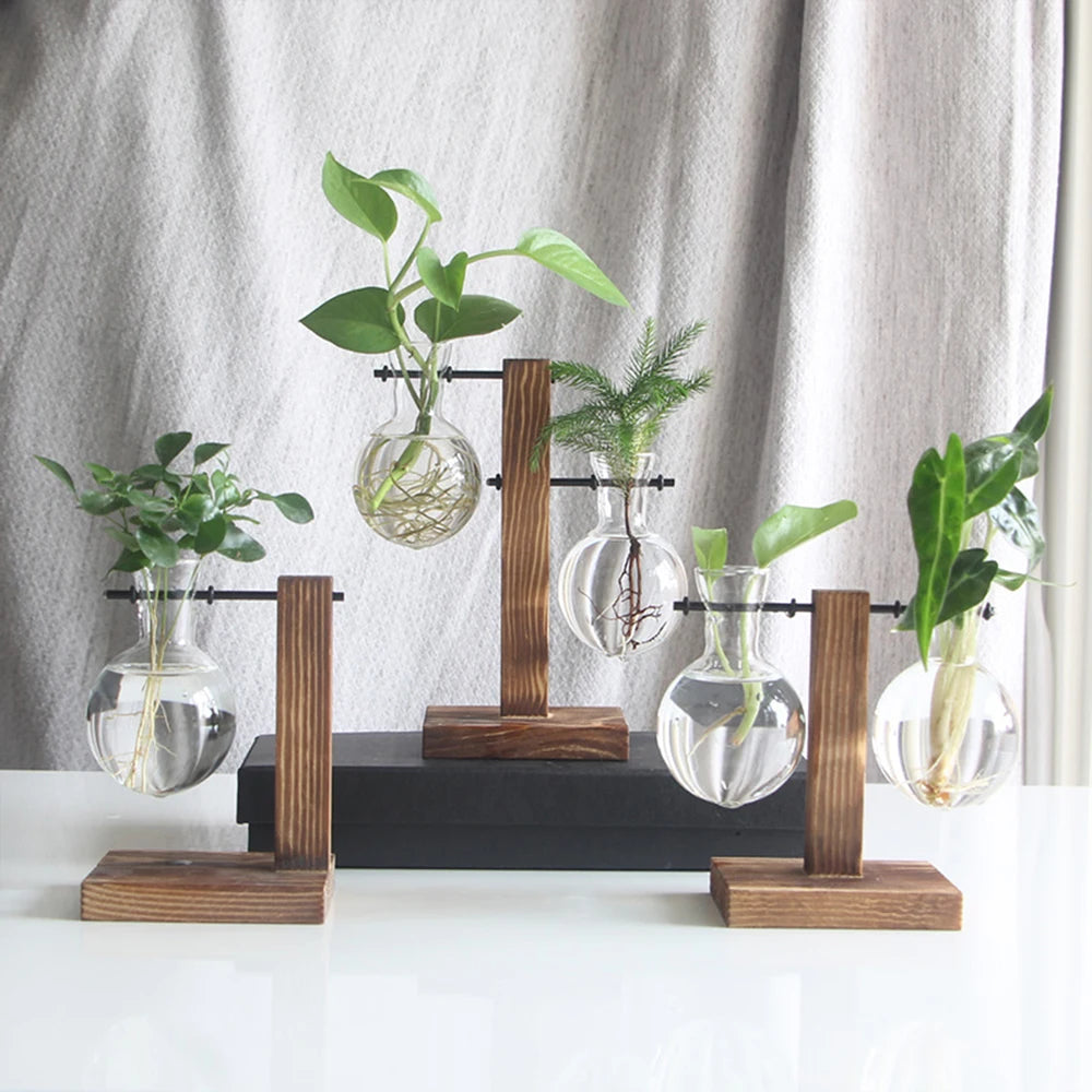 Glass vases for plants - The Touch of Nature Your Home Was Missing