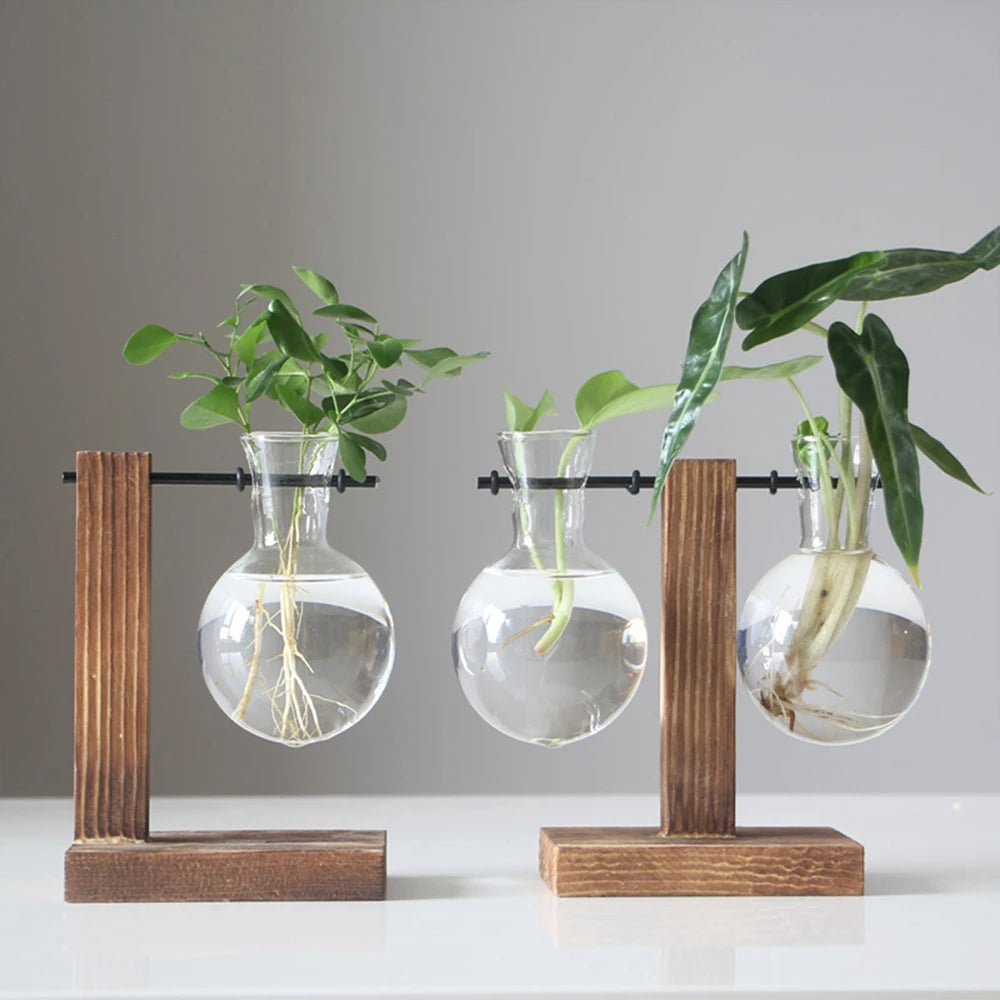 Glass vases for plants - The Touch of Nature Your Home Was Missing