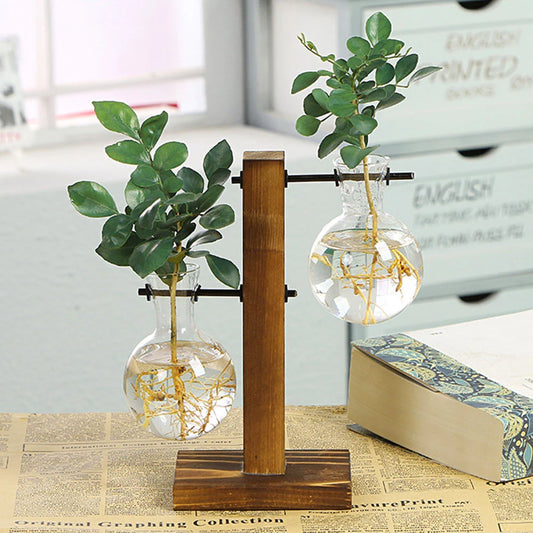 Glass vases for plants - The Touch of Nature Your Home Was Missing