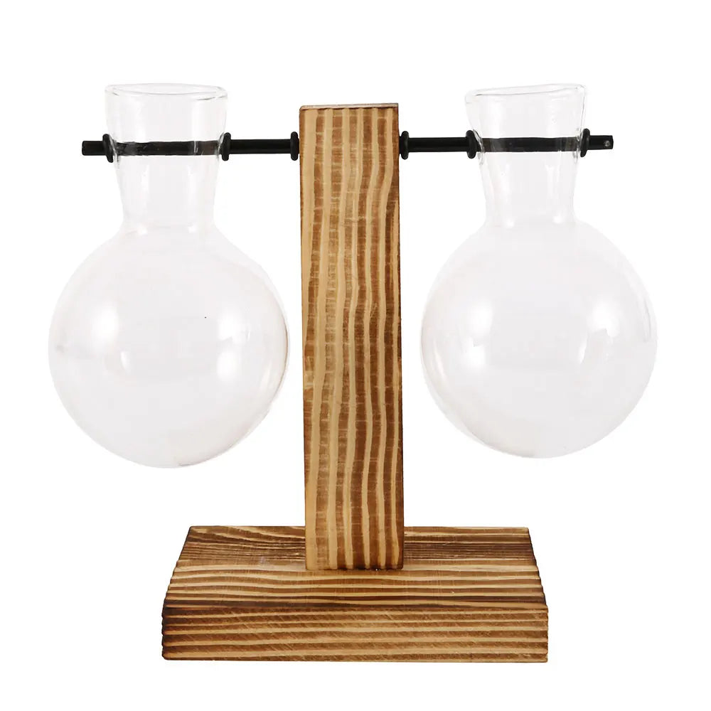 Glass vases for plants - The Touch of Nature Your Home Was Missing