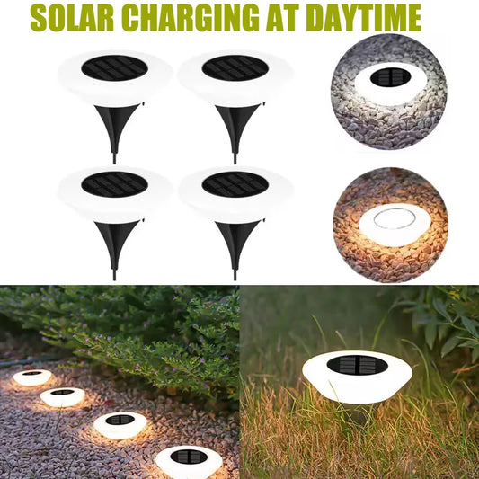 Solar Garden Lights – Charm & Functionality