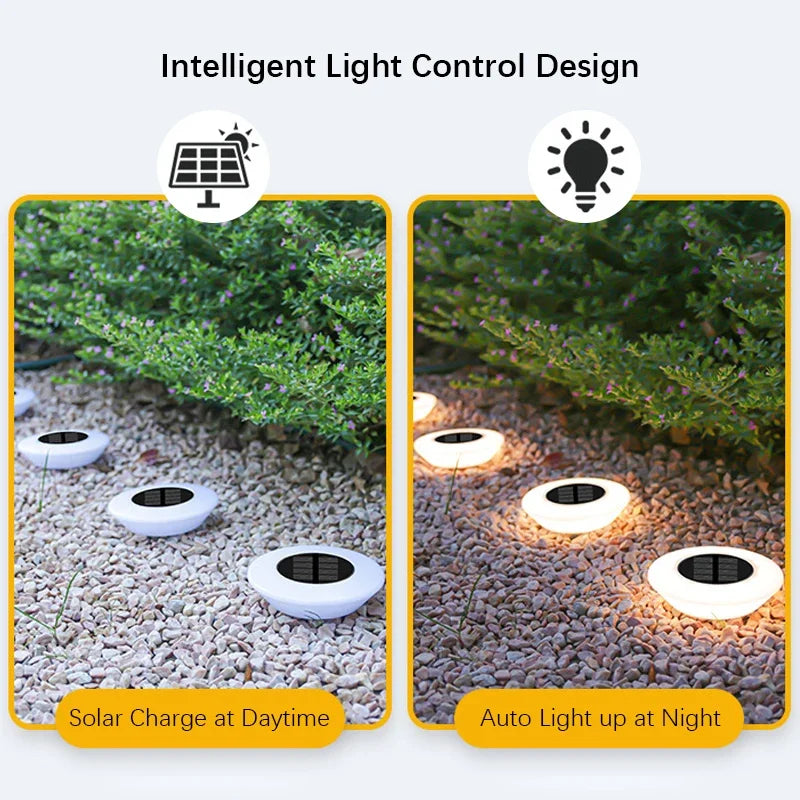 Solar Garden Lights – Charm & Functionality