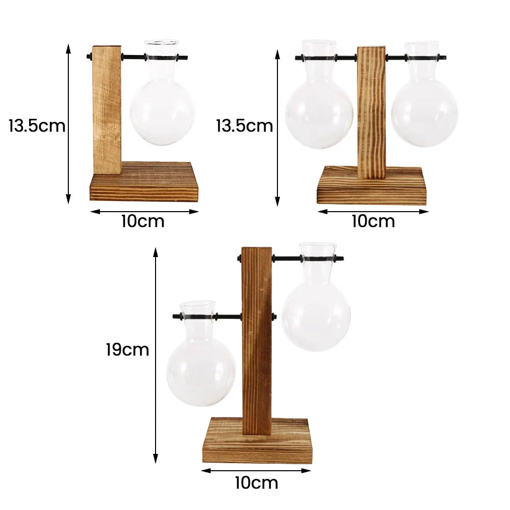 Glass vases for plants - The Touch of Nature Your Home Was Missing
