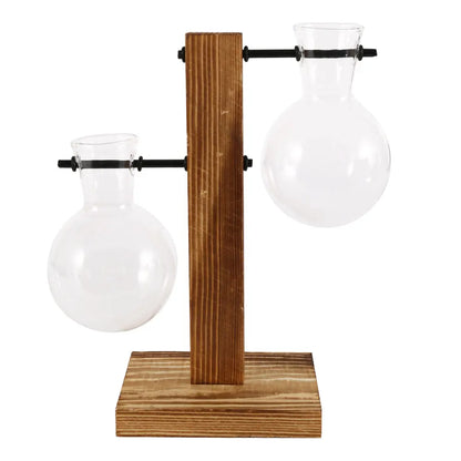 Glass vases for plants - The Touch of Nature Your Home Was Missing