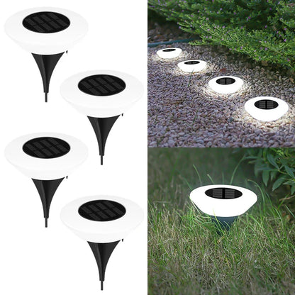 Solar Garden Lights – Charm & Functionality