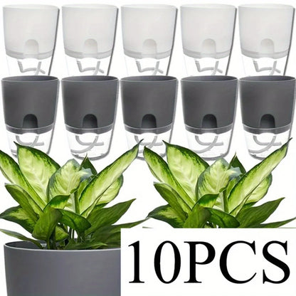 Self-Watering Pot – Beauty and Practicality for Your Plants