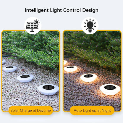 Solar Garden Lights – Charm & Functionality