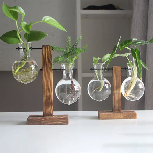 Glass vases for plants - The Touch of Nature Your Home Was Missing